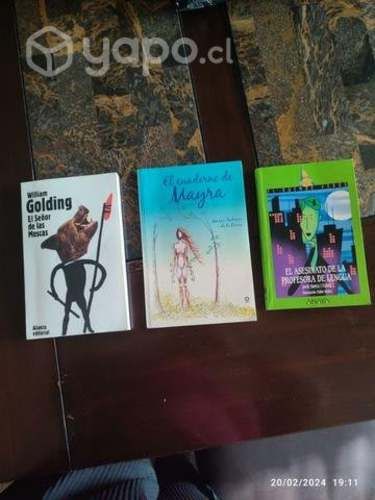 Libros que piden en el colegio
