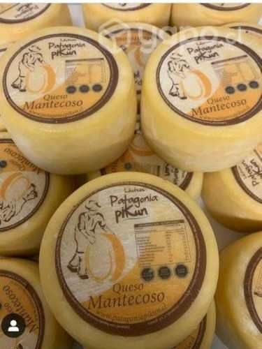 Queso mantecoso redondo