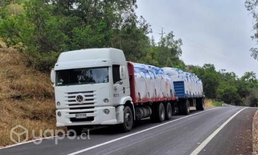 Camión Volkswagen 17250