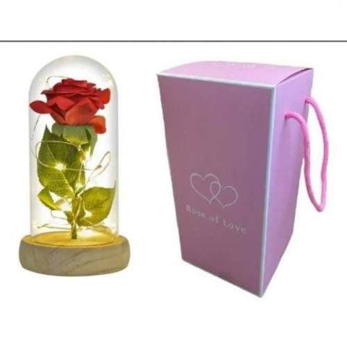 Rosa cupula con luces led