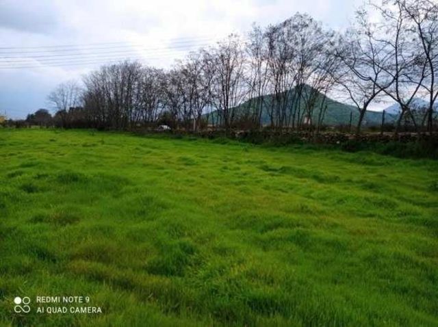 Vendo parcela 2 roles 5000m2