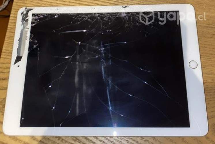 Iphad 5 (quinta generación)