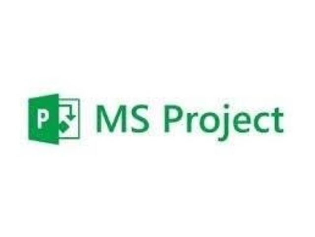 Clases Personalizadas de Microsoft Project