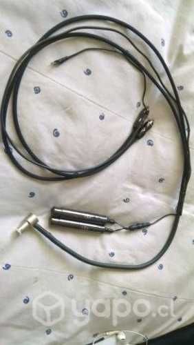 Audioquest DBS 24V con diferentes entradas. Está e