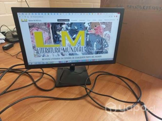 Monitor 19 pulgadas LG