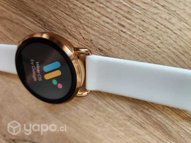Smartwatch Fossil Q Wander Mujer