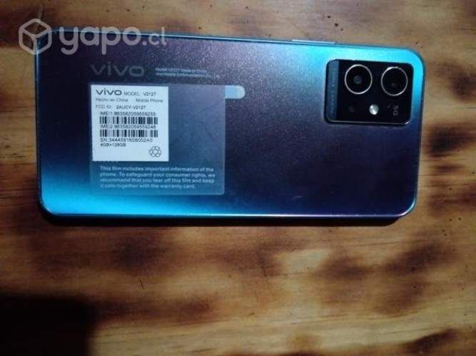 Teléfono vivoy55