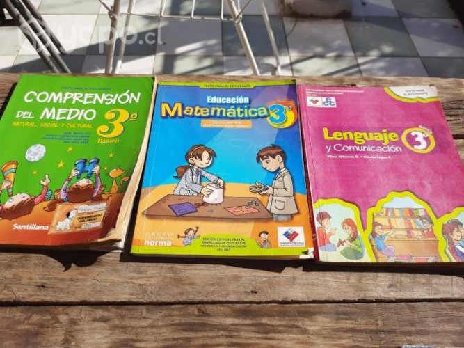 Textos Escolares 1°, 2°, 3°, 4°, 6°, 7° y 8° Básic