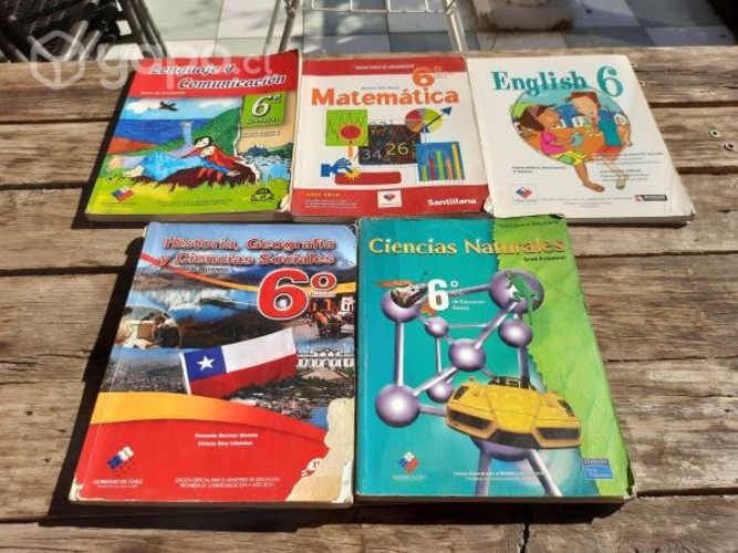Textos Escolares 1°, 2°, 3°, 4°, 6°, 7° y 8° Básic