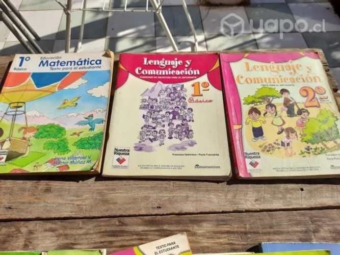 Textos Escolares 1°, 2°, 3°, 4°, 6°, 7° y 8° Básic