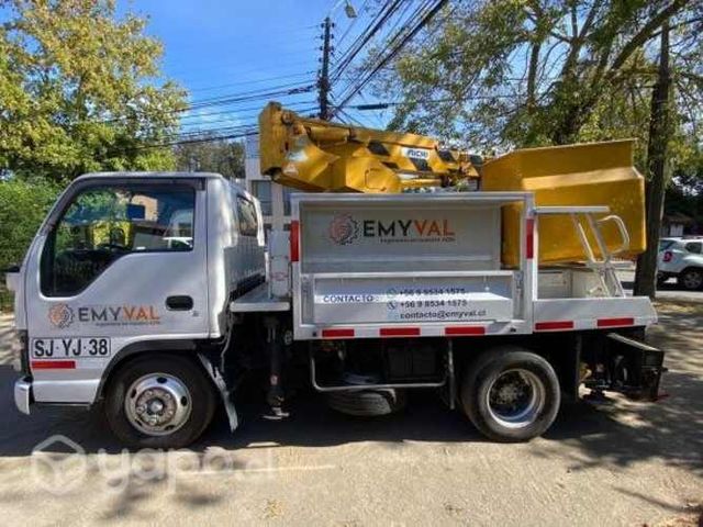 Camión Isuzu 2006 Alzahombre