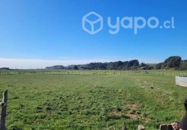 Terreno Pullay - Cobquecura