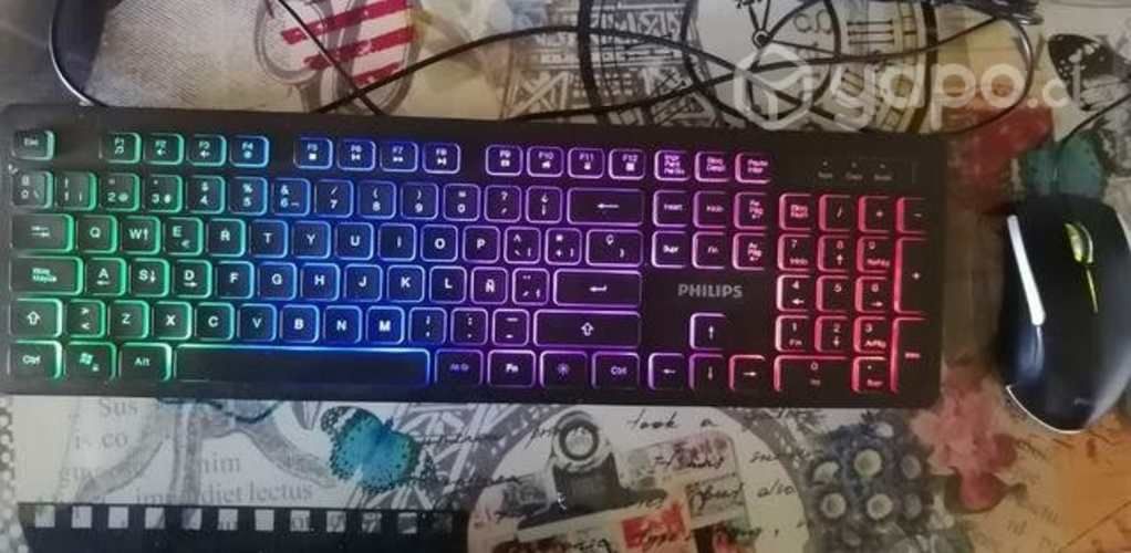 Teclado y Mouse Philips usado