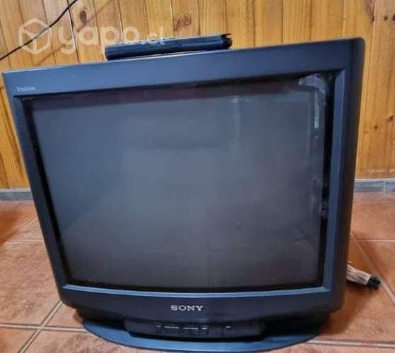 Televisor Sony 21"