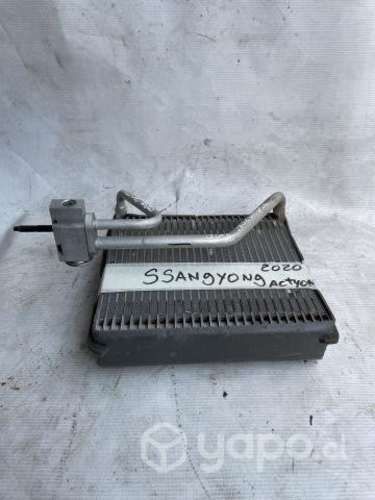 Vaporizador Ssangyong Actyon 2020