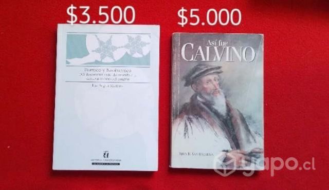 Libros Barroco y neobarroco y calvivo