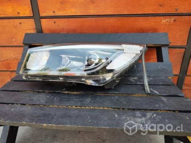 Óptico Grand carvinal