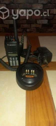Radio Motorola Pro 7150