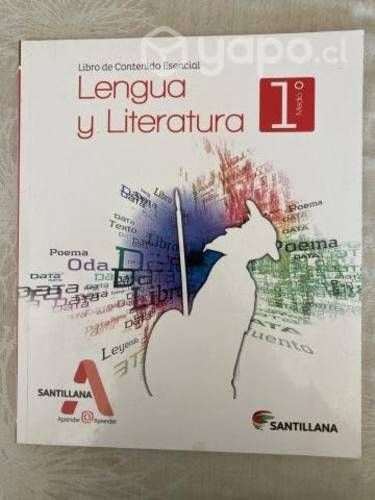 Libro Lenguaje 1° Medio Santillana
