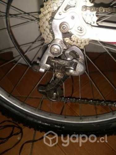 Bicicleta montañera