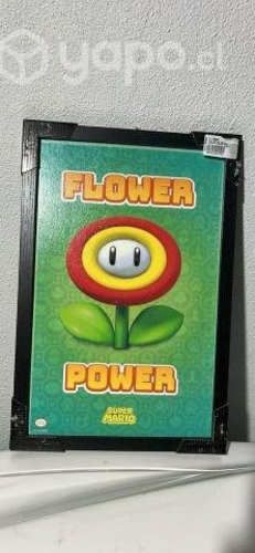 Cuadro Flor Super Mario Bros