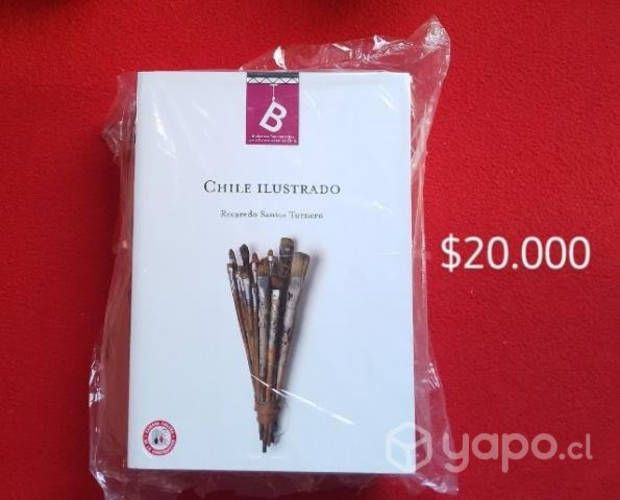 Libro Chile Ilustrado