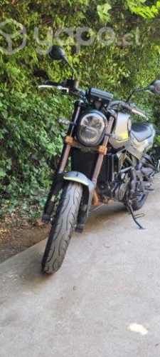 Benelli leonciono 250