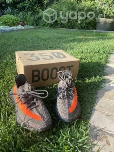 Yeezy 350 v2 Carbon Beluga