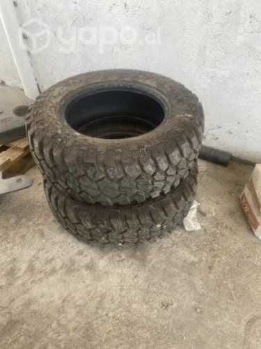 Neumáticos 265 66 r17