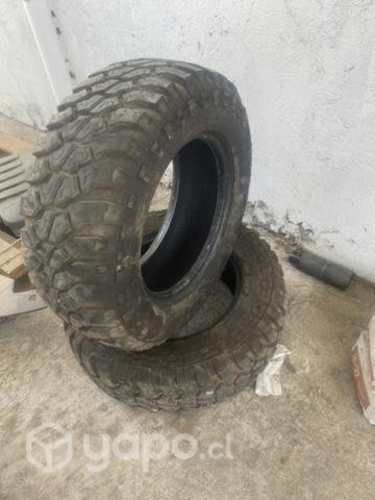 Neumáticos 265 66 r17