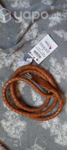 Nuevo para tu gatos o tu perrito