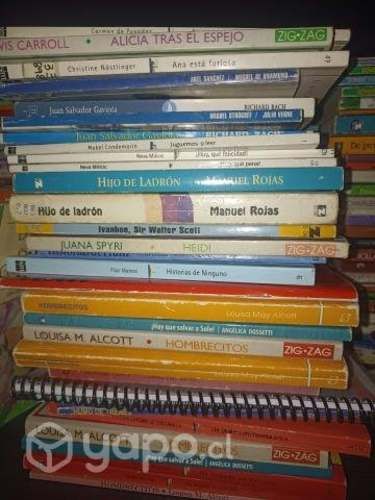 Lectura complementaria E-D