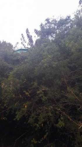 Se vende sitio y cabaña amoblada en maicolpue