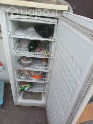 REFRIGERADOR FREEZER CONGELA,daewoo de 350 litros
