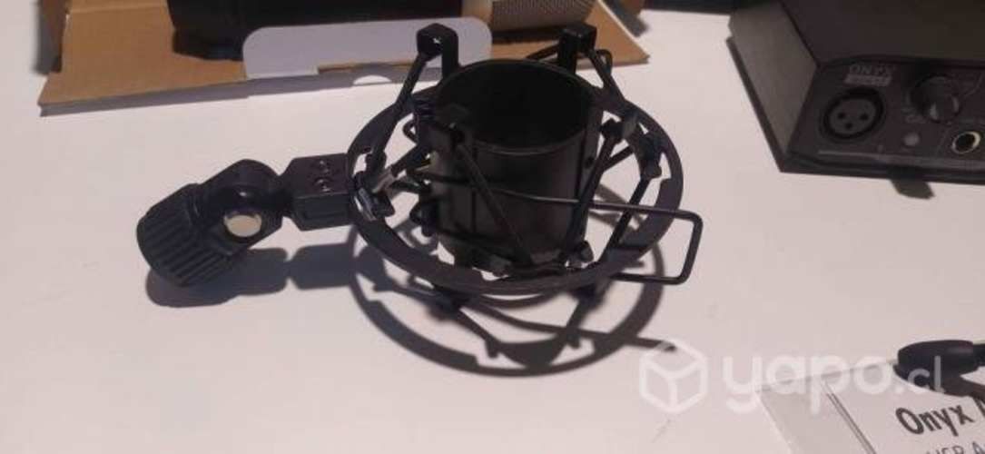 Microfono Marantz MPM-1000 + Interfaz Onyx