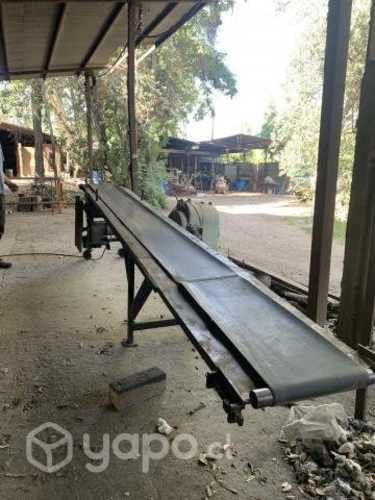 Cinta transportadora motorizada