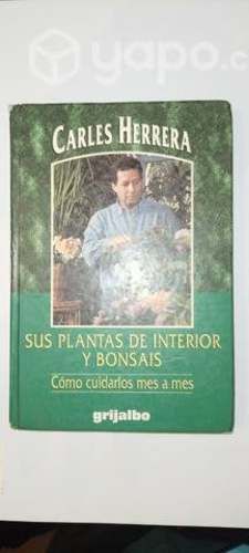Plantas de interior y Bonsais