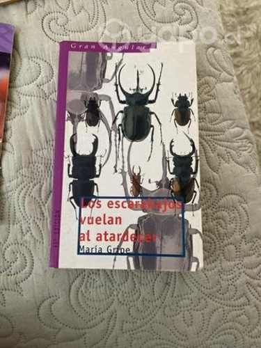 Libro Los escarabajos vuelan al atardecer