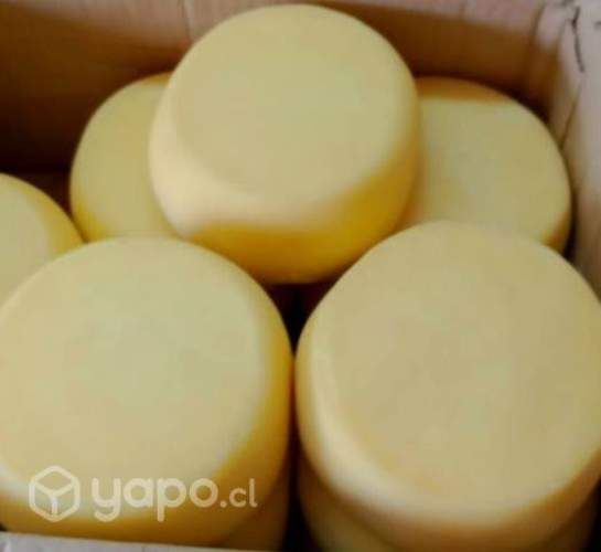Quesos de chiloe