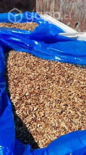 Nueces oportunidad saco de 20 kilos