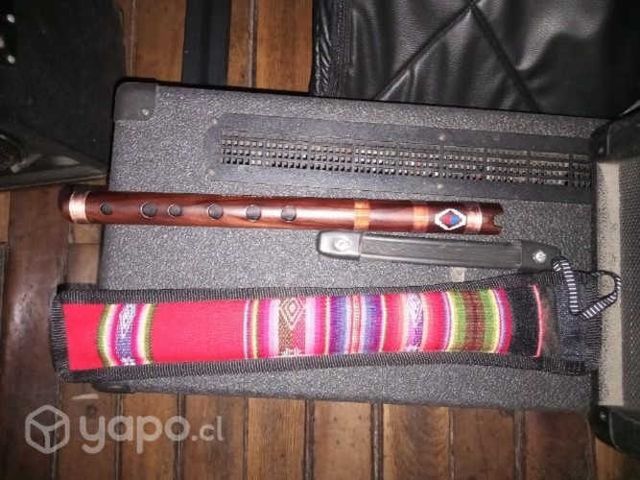 Se vende quena profesional con estuche