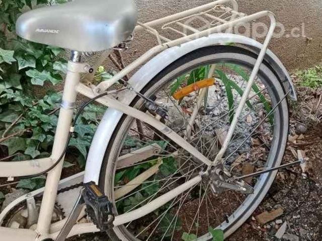 Bicicleta de paseo