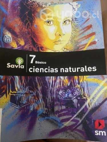 Libro SM 7º básico