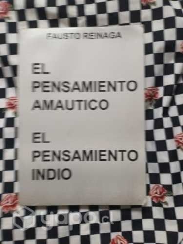 El pensamiento amautico, El pensamiento indio