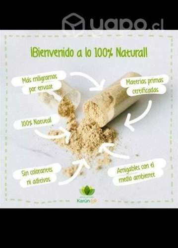 Zeo Micronizada en Polvo