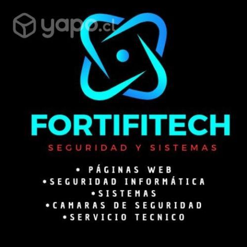 Consultora de Seguridad Informática
