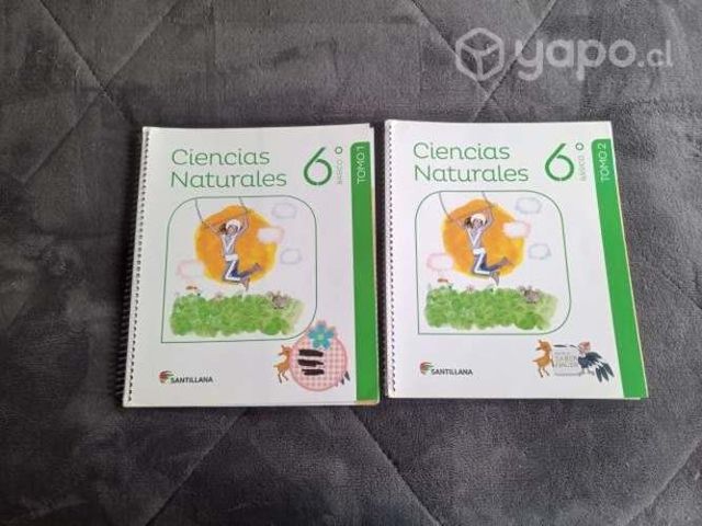 libros Naturales Santillana Saber Hacer 6to