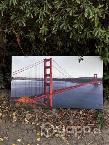 Cuadro del Puente Golden Gate Bridge