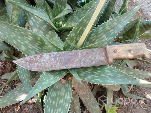 Cuchillo antigüedad