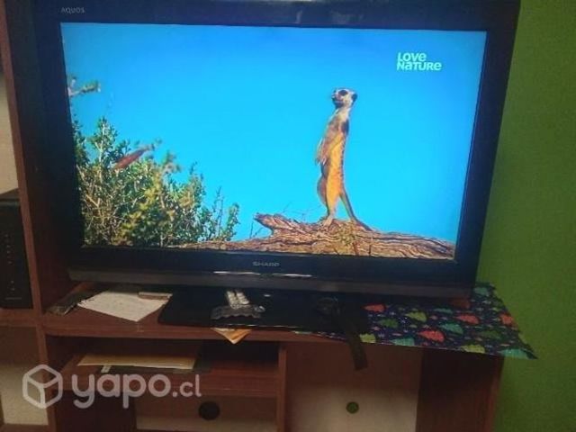 TV, Refrigerador y Lavadora